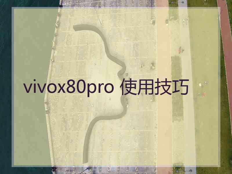 vivox80pro 使用技巧