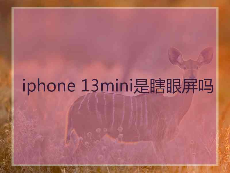 iphone 13mini是瞎眼屏吗