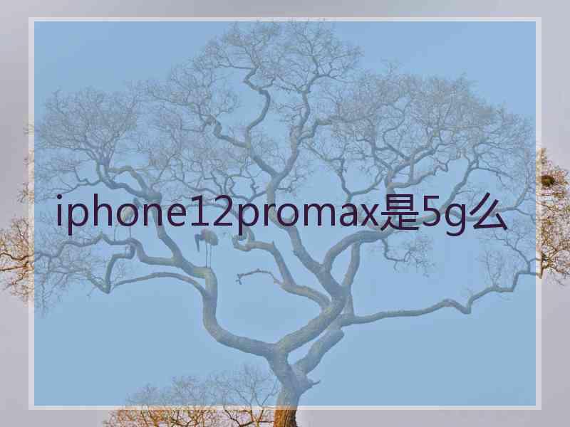 iphone12promax是5g么