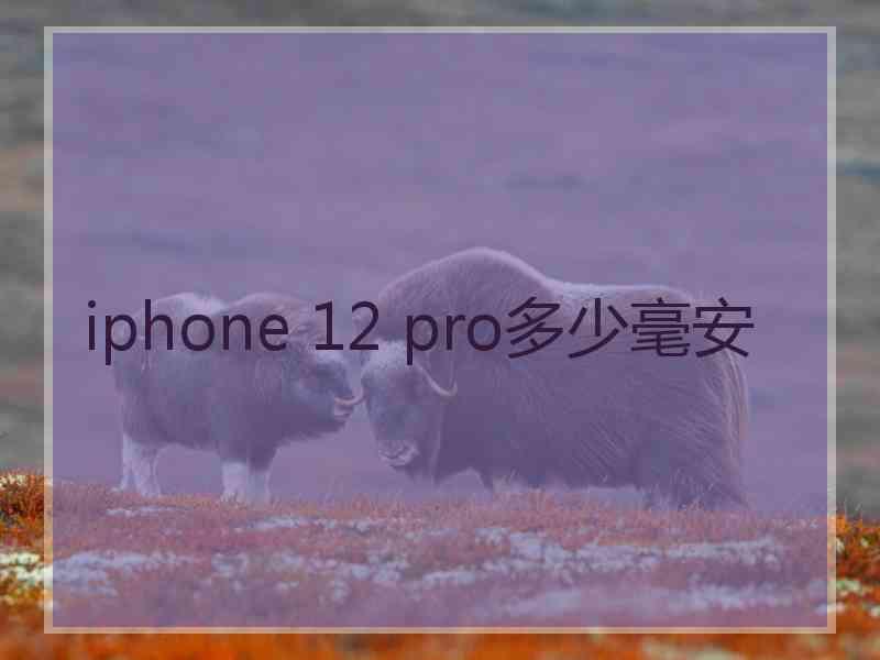 iphone 12 pro多少毫安