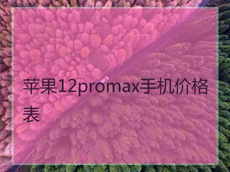 苹果12promax手机价格表