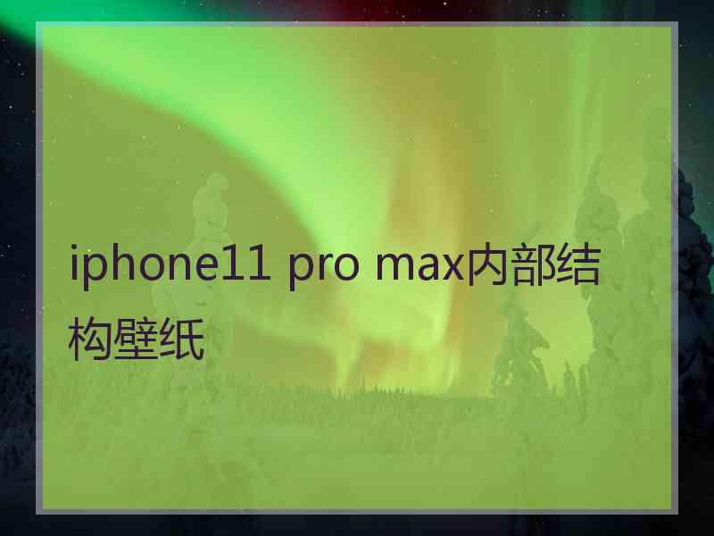 iphone11 pro max内部结构壁纸