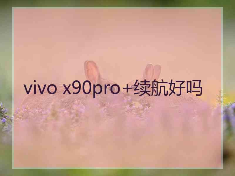 vivo x90pro+续航好吗