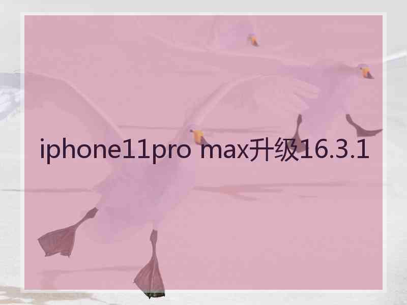 iphone11pro max升级16.3.1