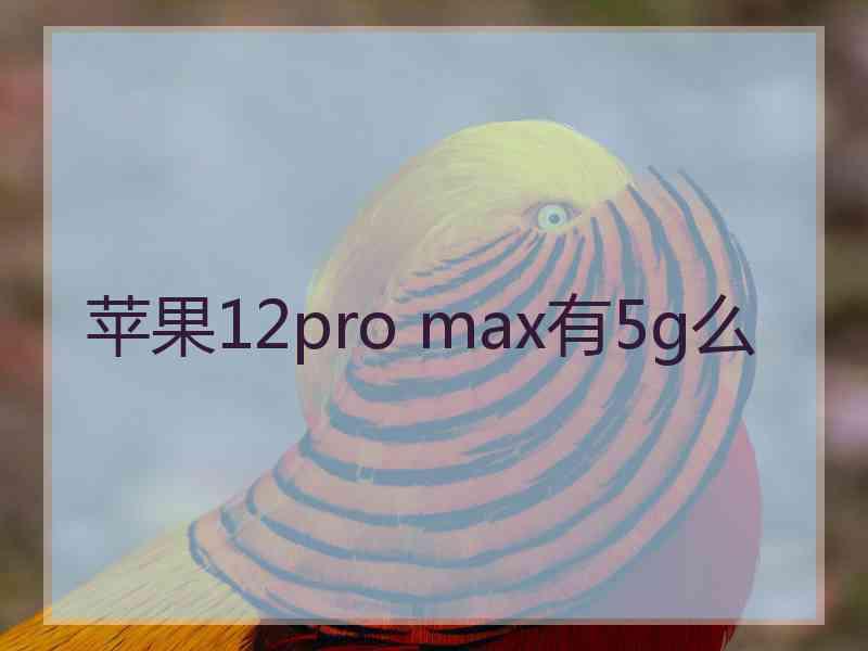 苹果12pro max有5g么