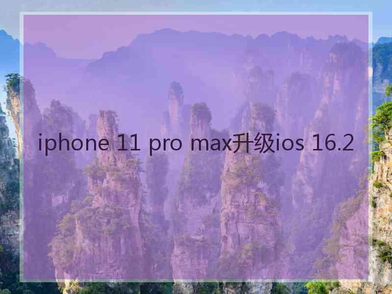 iphone 11 pro max升级ios 16.2