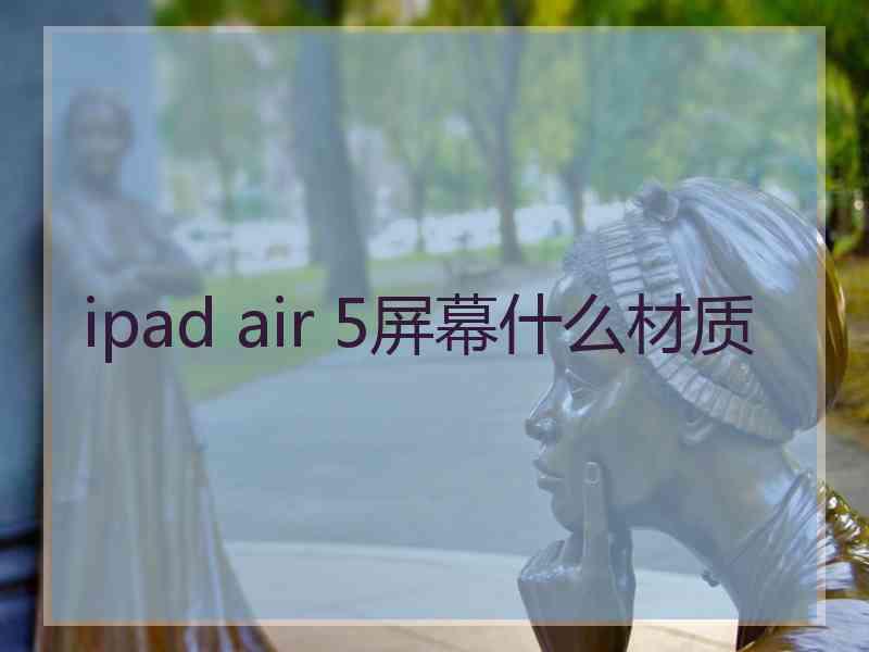 ipad air 5屏幕什么材质