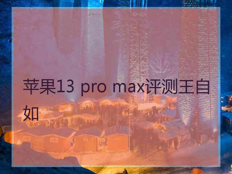 苹果13 pro max评测王自如