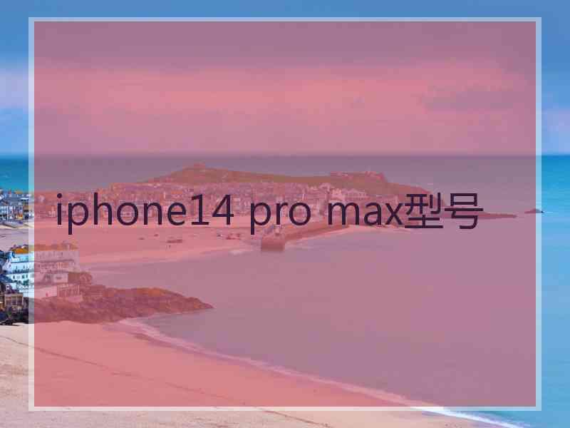 iphone14 pro max型号