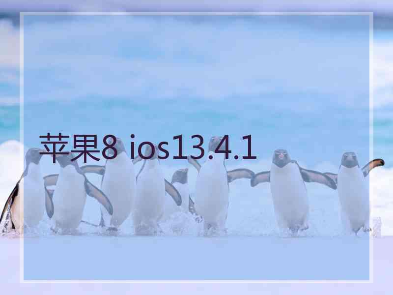 苹果8 ios13.4.1