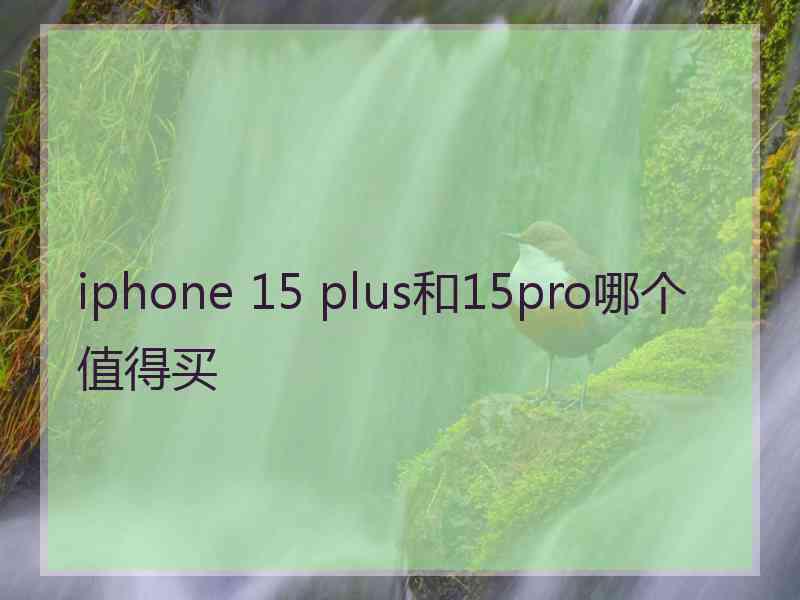 iphone 15 plus和15pro哪个值得买