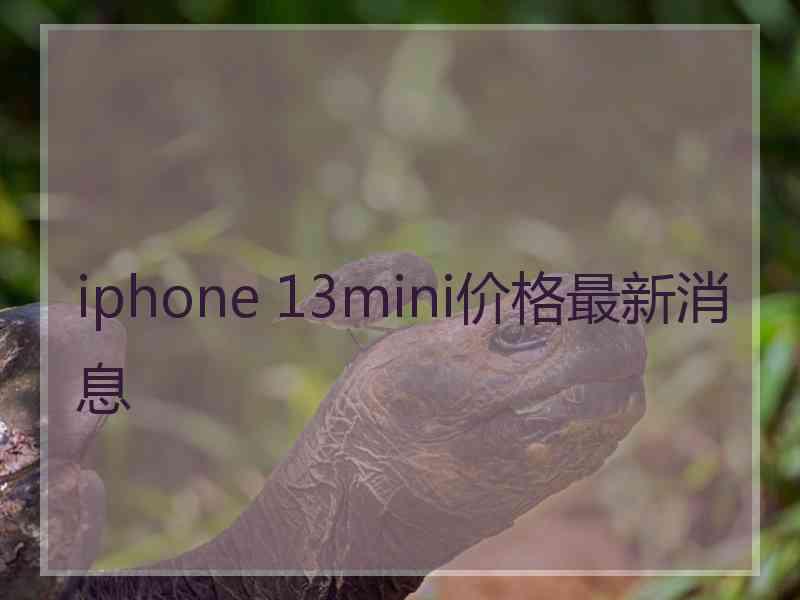 iphone 13mini价格最新消息