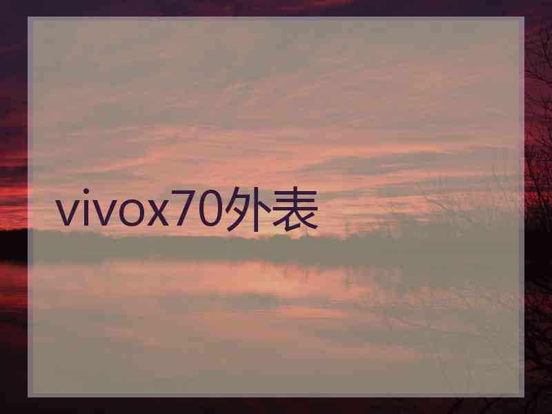 vivox70外表