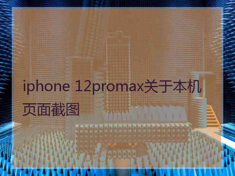 iphone 12promax关于本机页面截图