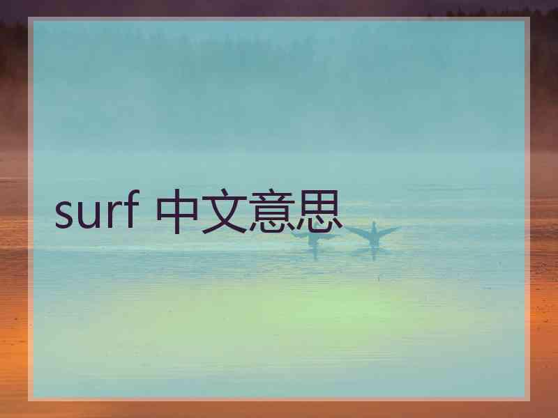 surf 中文意思