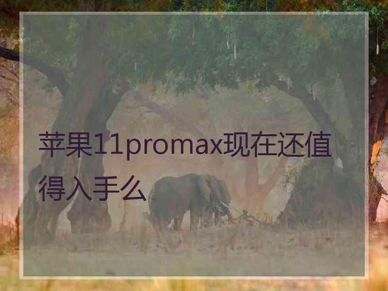 苹果11promax现在还值得入手么