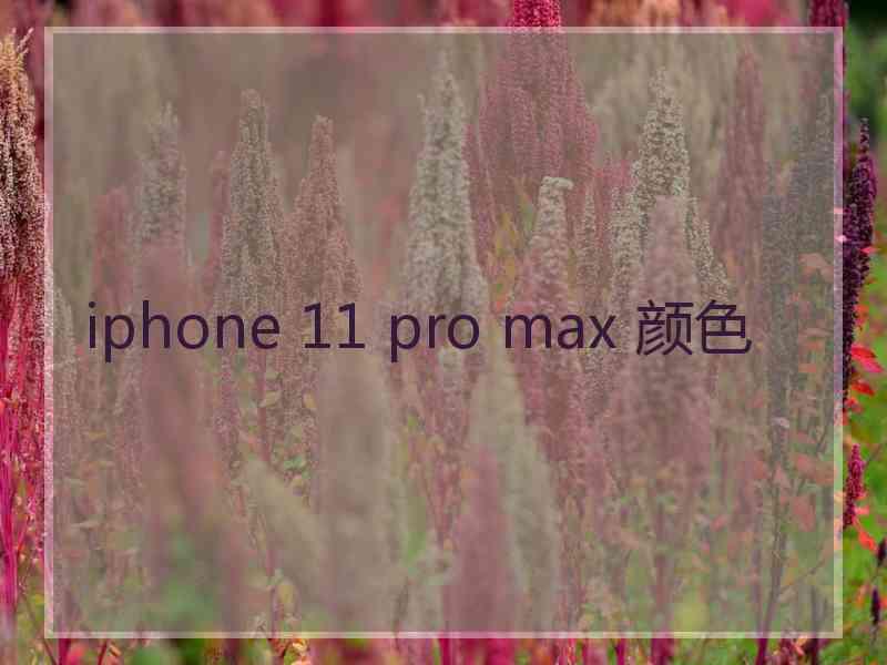 iphone 11 pro max 颜色