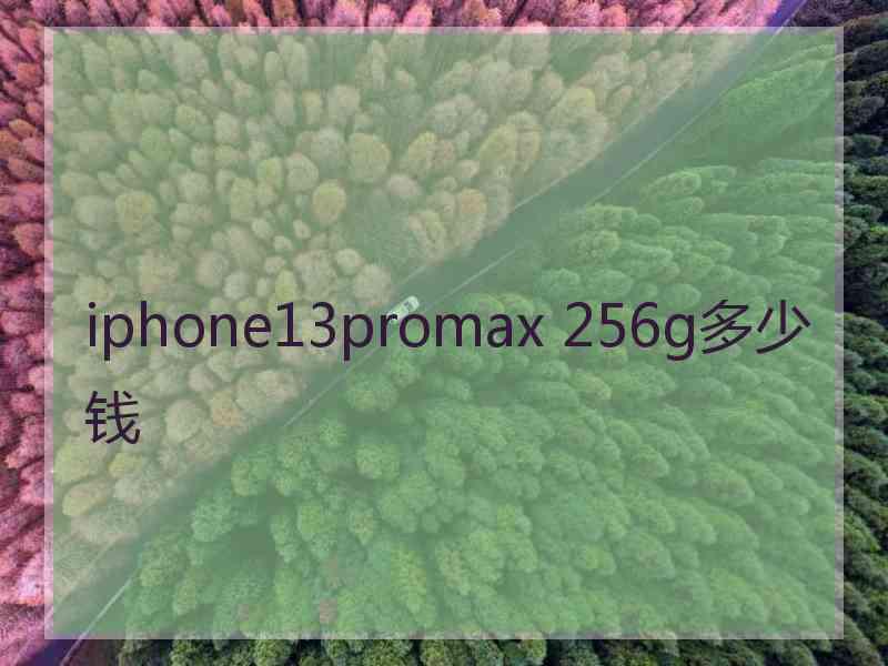 iphone13promax 256g多少钱