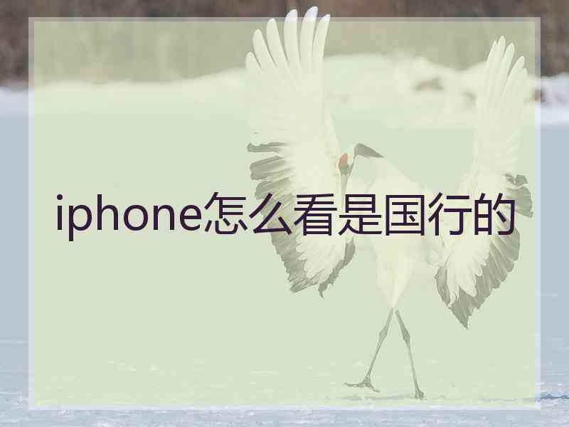 iphone怎么看是国行的