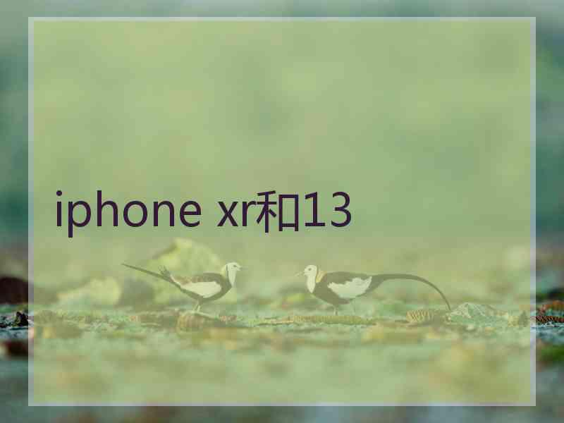 iphone xr和13