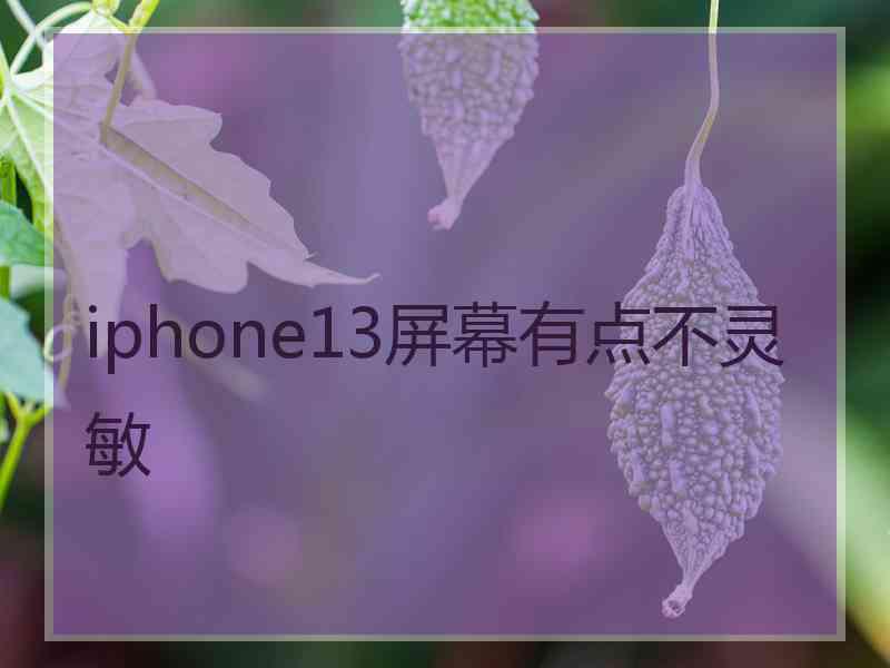 iphone13屏幕有点不灵敏