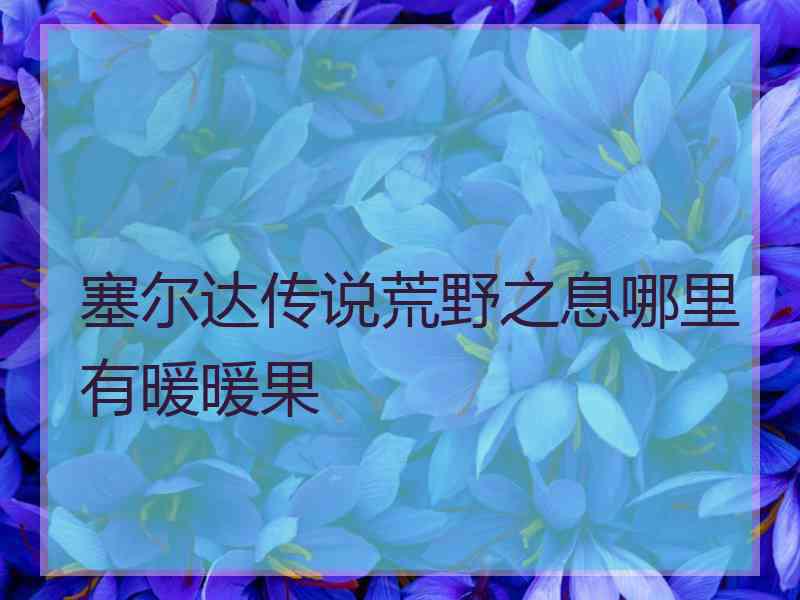 塞尔达传说荒野之息哪里有暖暖果