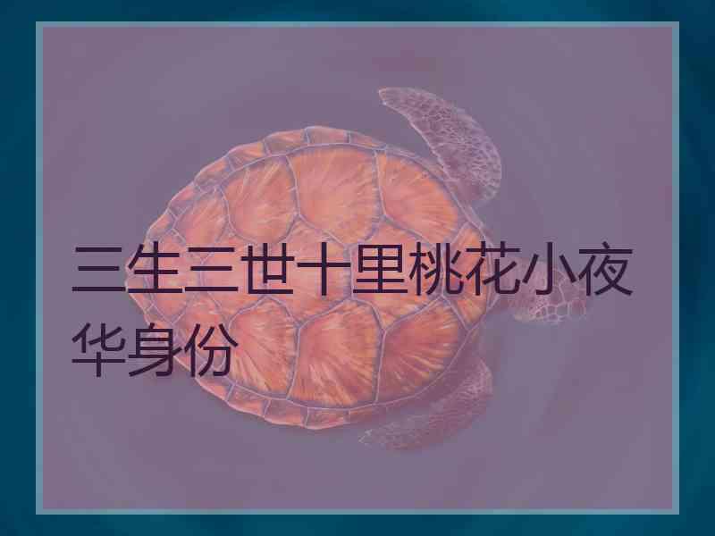 三生三世十里桃花小夜华身份