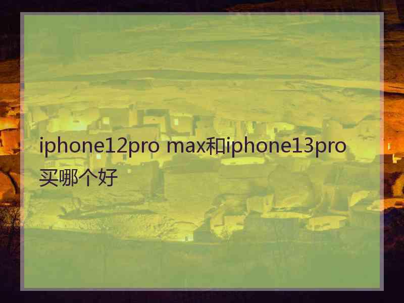 iphone12pro max和iphone13pro买哪个好