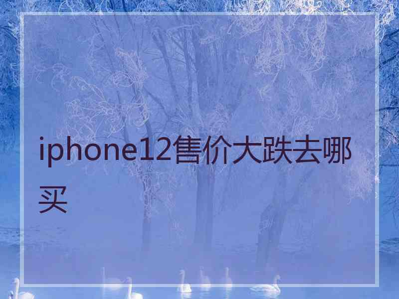 iphone12售价大跌去哪买