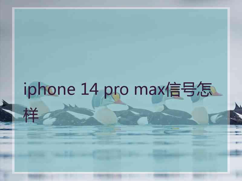 iphone 14 pro max信号怎样