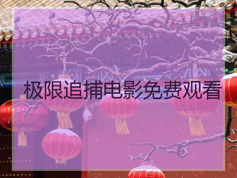 极限追捕电影免费观看