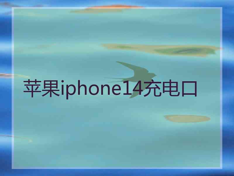 苹果iphone14充电口