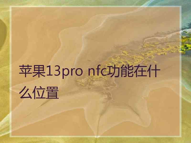 苹果13pro nfc功能在什么位置