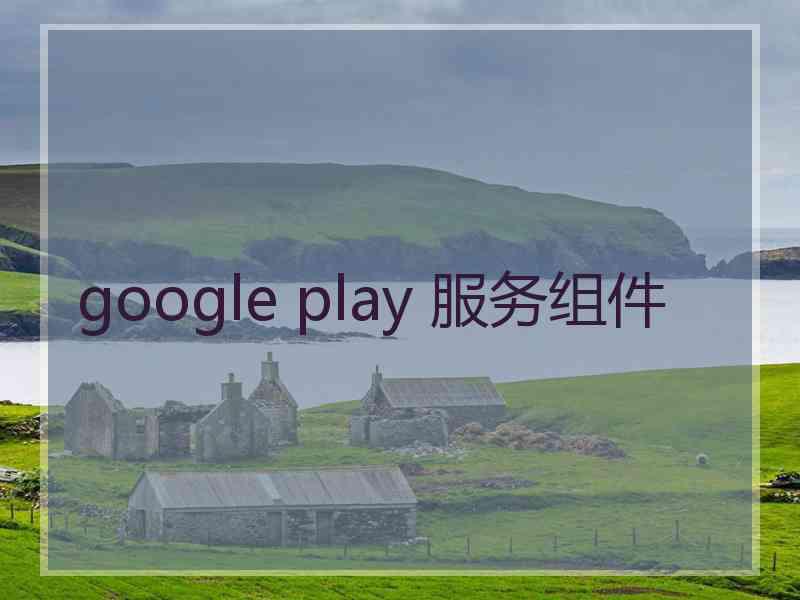 google play 服务组件