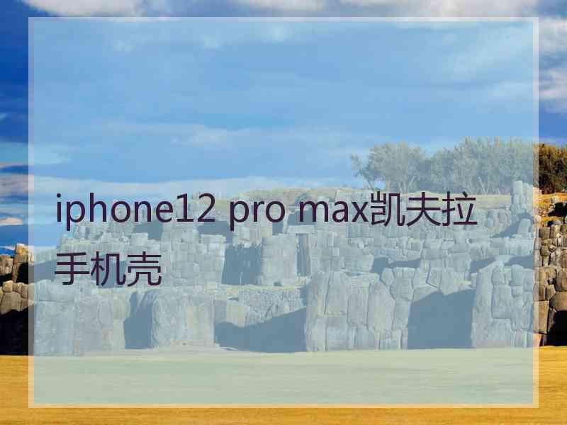 iphone12 pro max凯夫拉手机壳