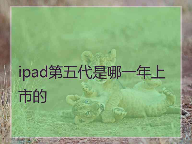 ipad第五代是哪一年上市的