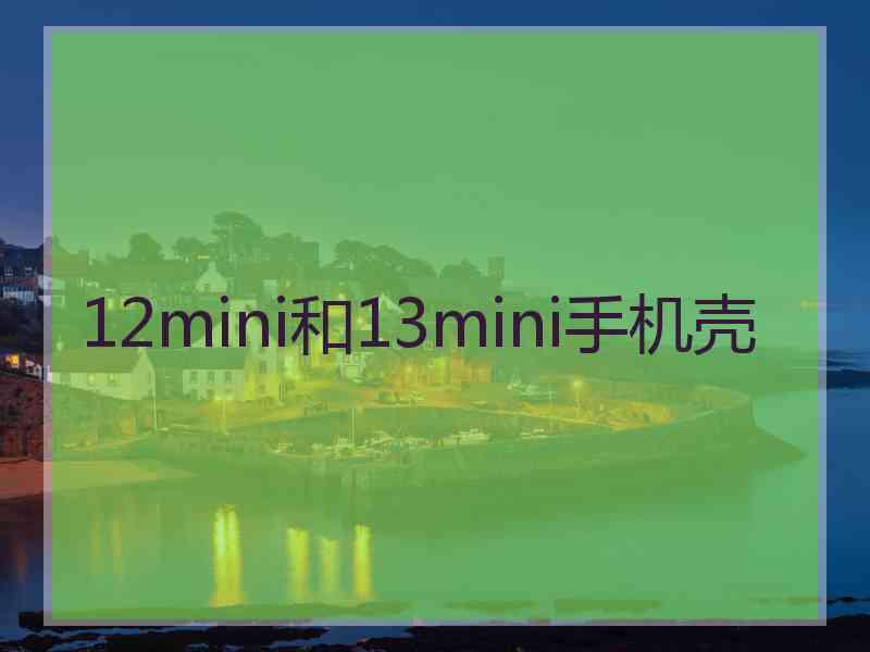 12mini和13mini手机壳