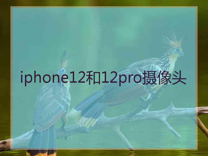 iphone12和12pro摄像头