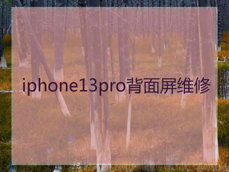 iphone13pro背面屏维修