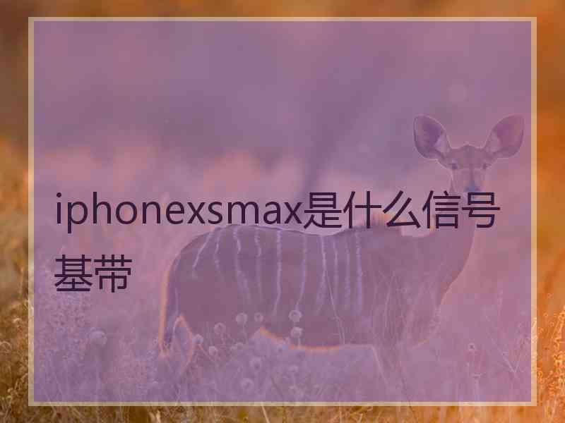 iphonexsmax是什么信号基带