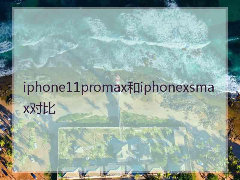 iphone11promax和iphonexsmax对比