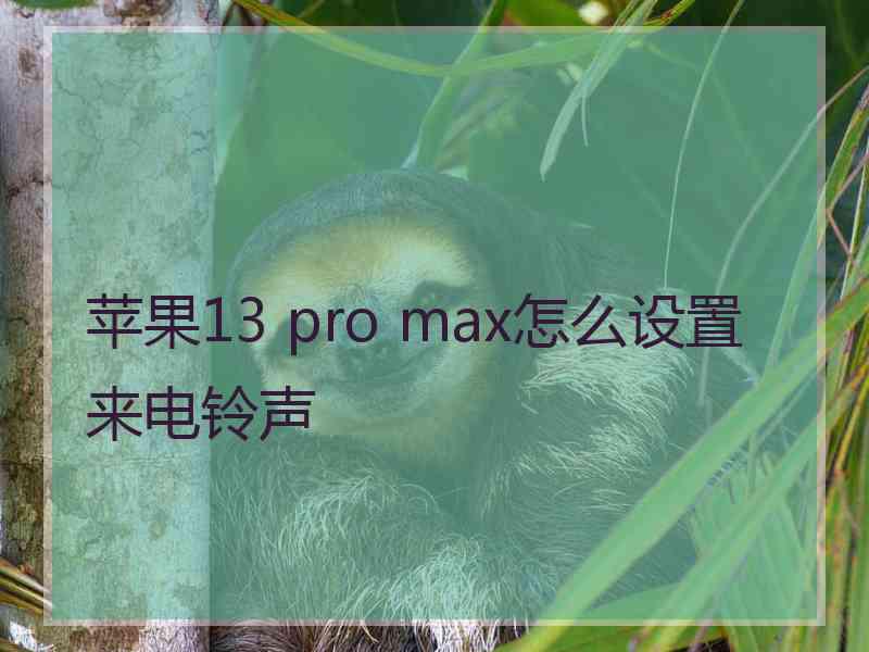 苹果13 pro max怎么设置来电铃声