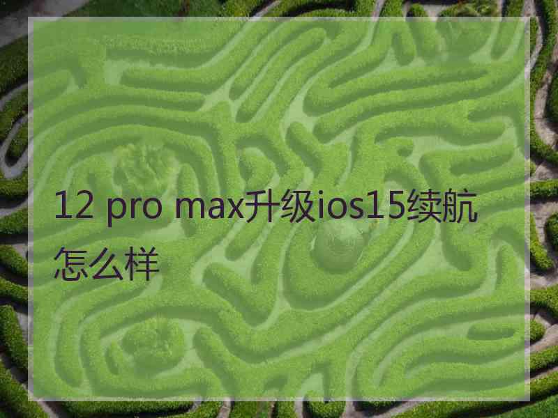 12 pro max升级ios15续航怎么样