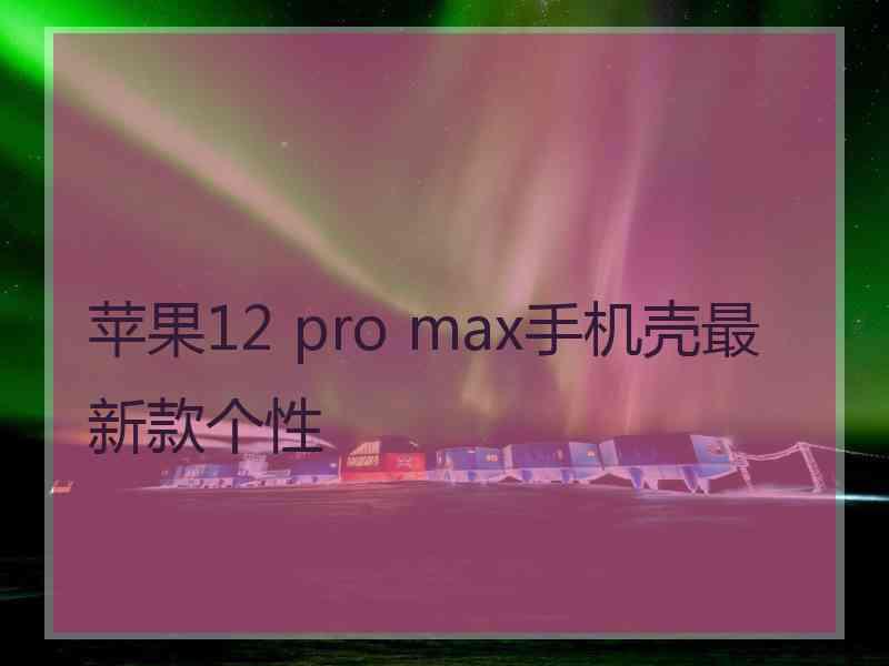 苹果12 pro max手机壳最新款个性