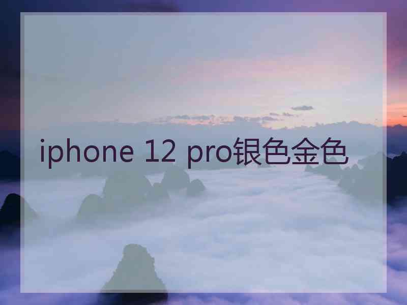 iphone 12 pro银色金色