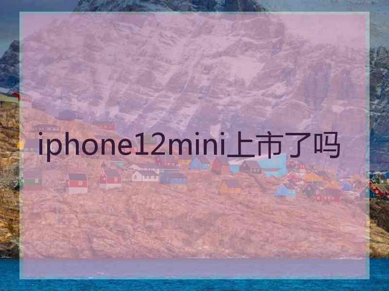 iphone12mini上市了吗