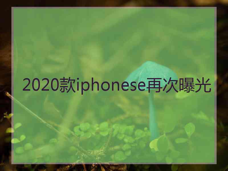 2020款iphonese再次曝光