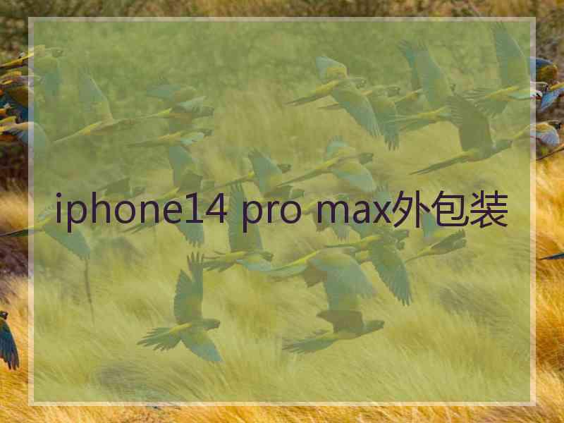 iphone14 pro max外包装