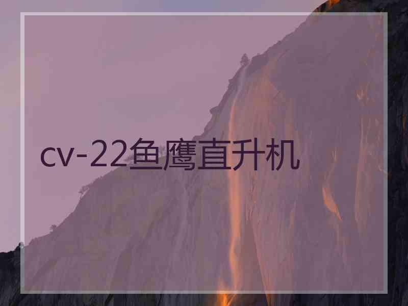 cv-22鱼鹰直升机