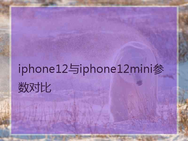 iphone12与iphone12mini参数对比